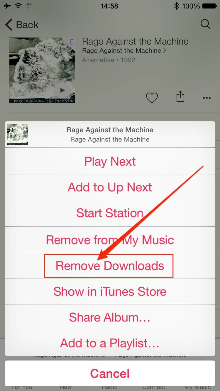 Remove Downloads Apple Music